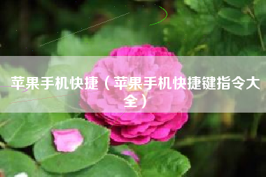 苹果手机快捷(苹果手机快捷键指令大全)