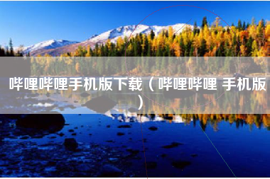 哔哩哔哩手机版下载(哔哩哔哩 手机版)
