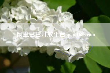 阿里巴巴开放平台open.1688.com